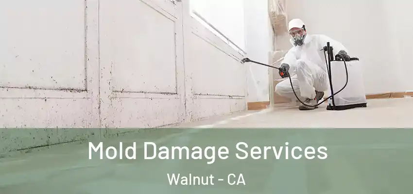  Mold Damage Services Walnut - CA
