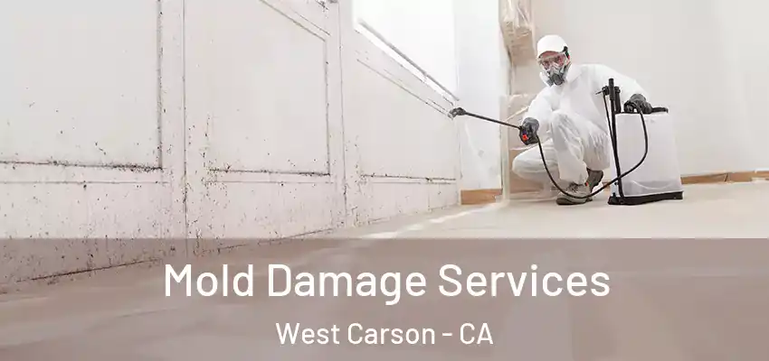  Mold Damage Services West Carson - CA