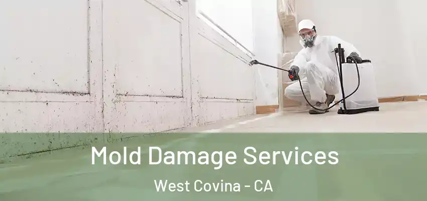  Mold Damage Services West Covina - CA