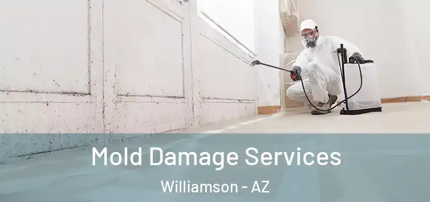  Mold Damage Services Williamson - AZ