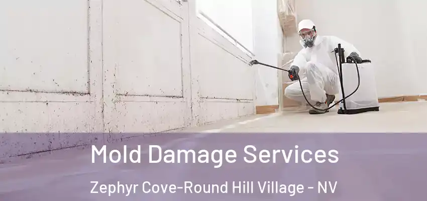  Mold Damage Services Zephyr Cove-Round Hill Village - NV