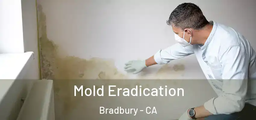  Mold Eradication Bradbury - CA