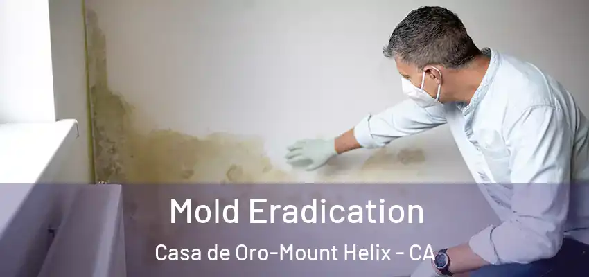  Mold Eradication Casa de Oro-Mount Helix - CA