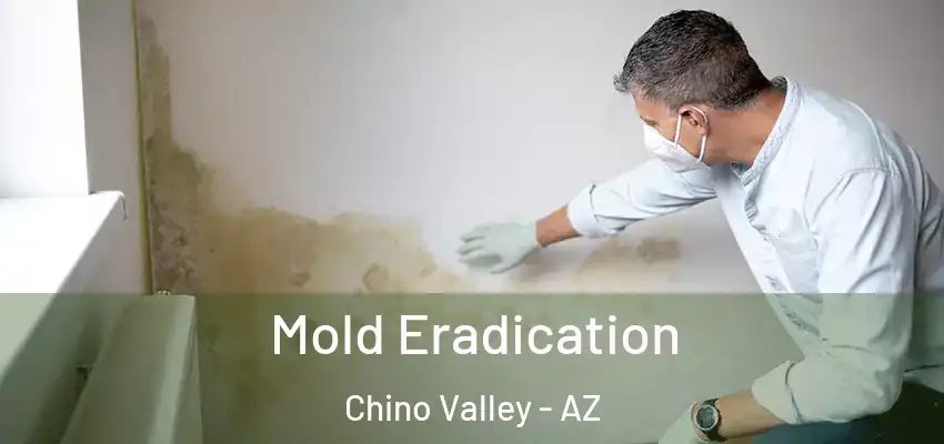  Mold Eradication Chino Valley - AZ