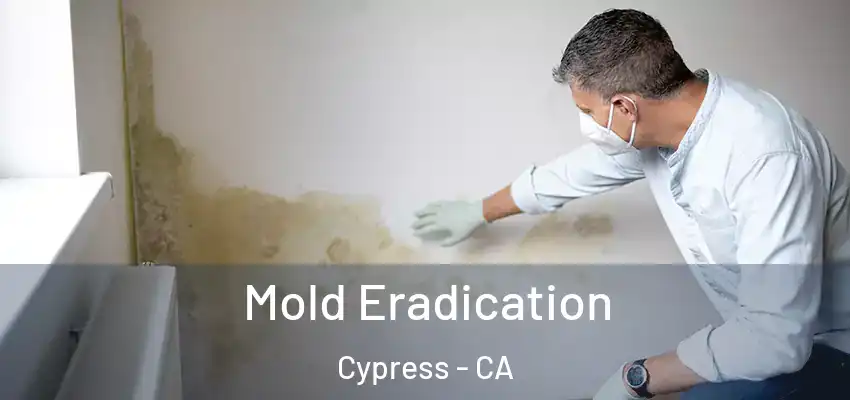  Mold Eradication Cypress - CA