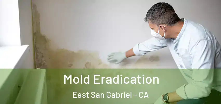 Mold Eradication East San Gabriel - CA