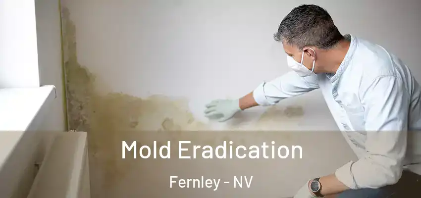  Mold Eradication Fernley - NV