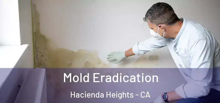 Mold Eradication Hacienda Heights - CA