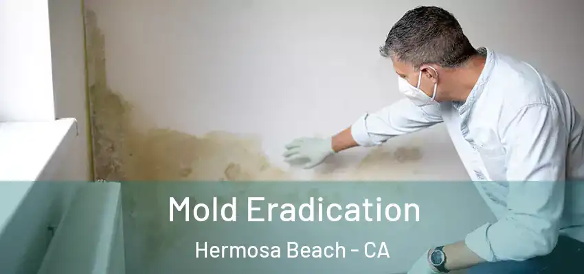  Mold Eradication Hermosa Beach - CA