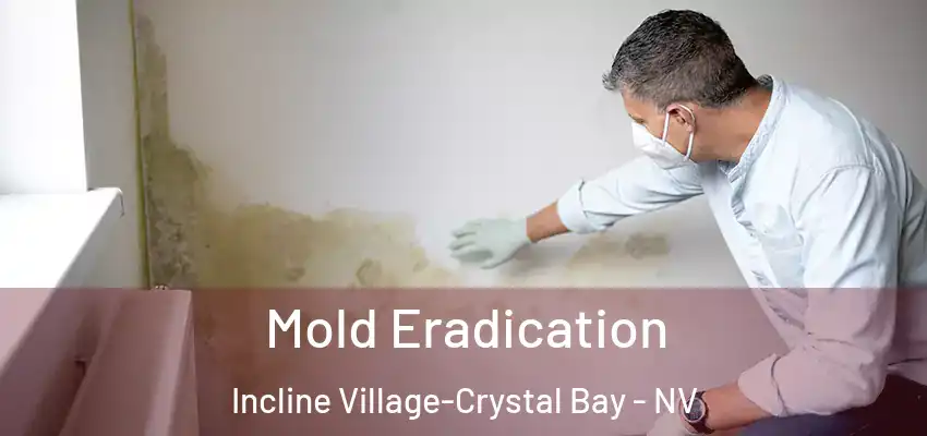  Mold Eradication Incline Village-Crystal Bay - NV