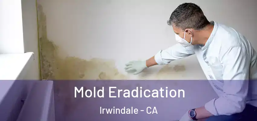  Mold Eradication Irwindale - CA
