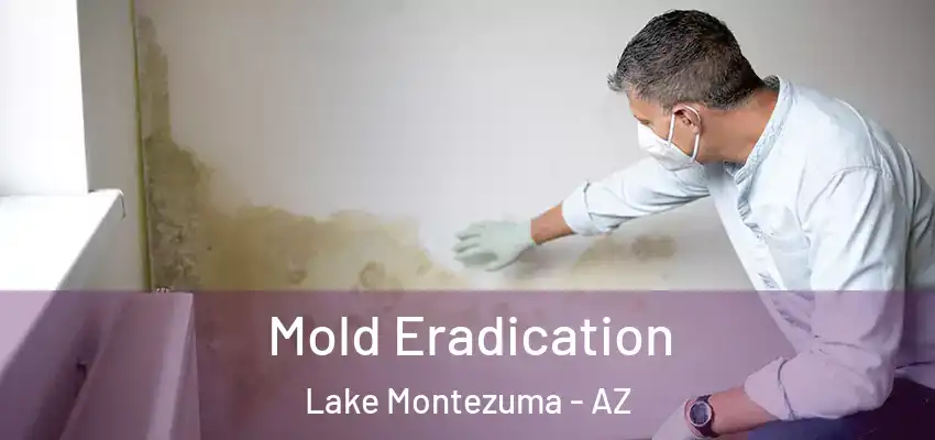  Mold Eradication Lake Montezuma - AZ