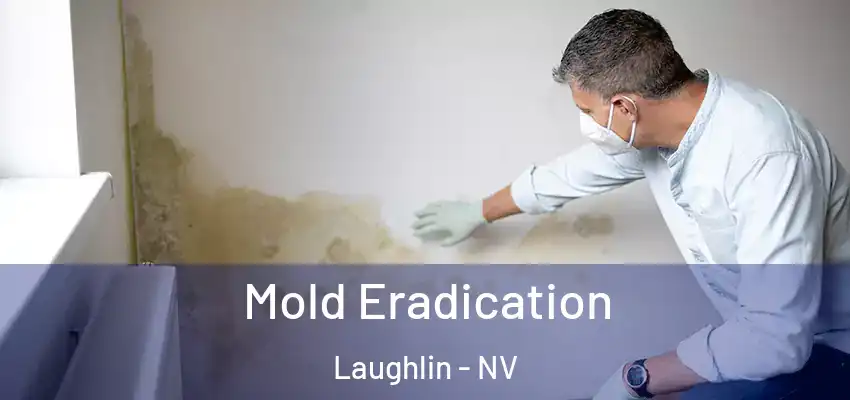  Mold Eradication Laughlin - NV