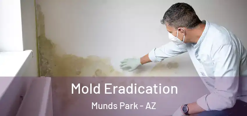  Mold Eradication Munds Park - AZ
