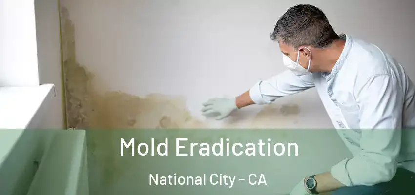  Mold Eradication National City - CA