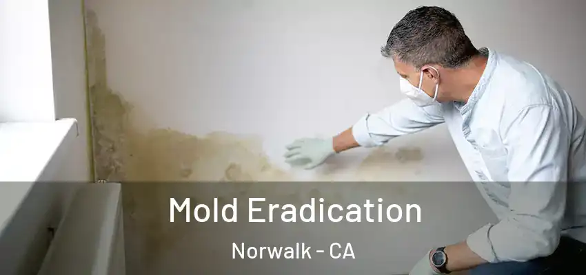  Mold Eradication Norwalk - CA