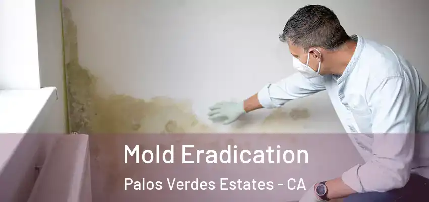  Mold Eradication Palos Verdes Estates - CA