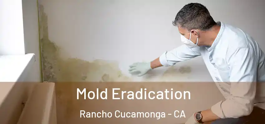 Mold Eradication Rancho Cucamonga - CA