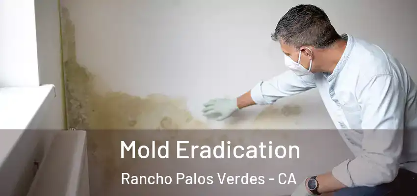  Mold Eradication Rancho Palos Verdes - CA