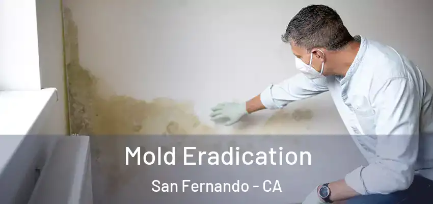  Mold Eradication San Fernando - CA