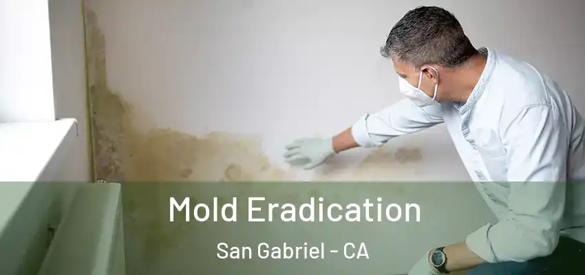 Mold Eradication San Gabriel - CA