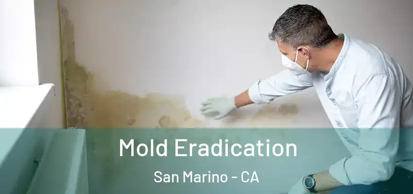  Mold Eradication San Marino - CA