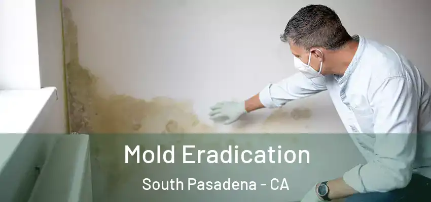 Mold Eradication South Pasadena - CA