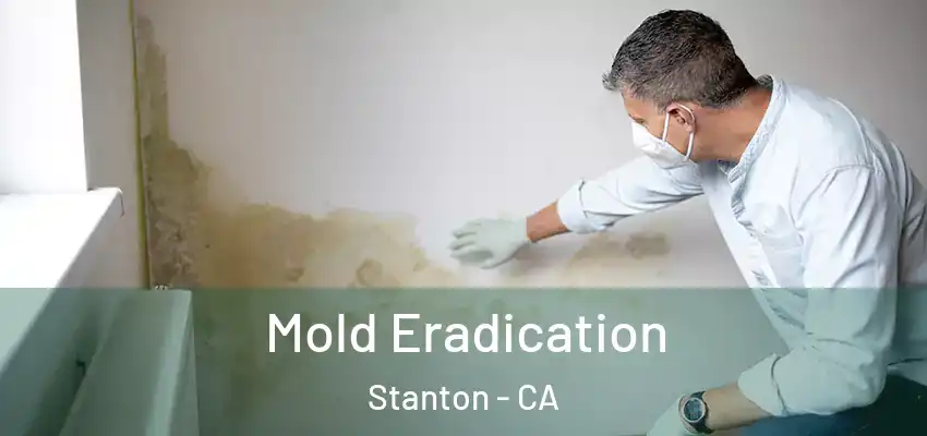  Mold Eradication Stanton - CA