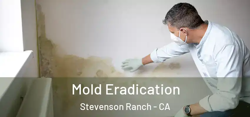  Mold Eradication Stevenson Ranch - CA