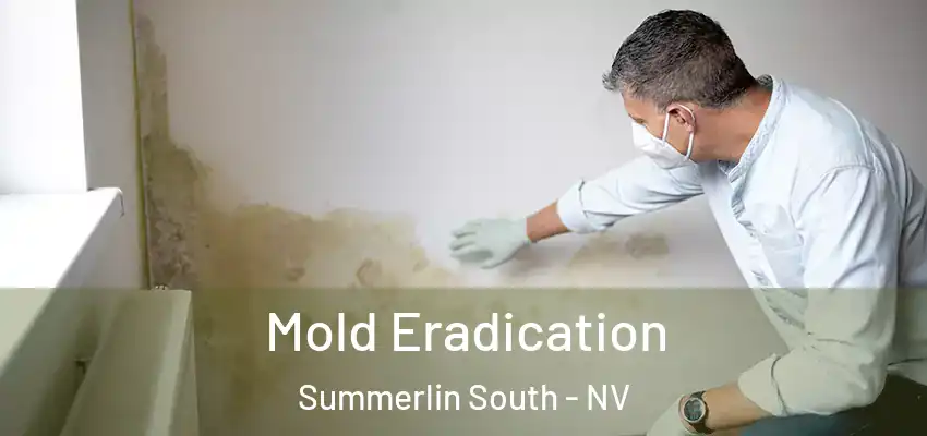 Mold Eradication Summerlin South - NV