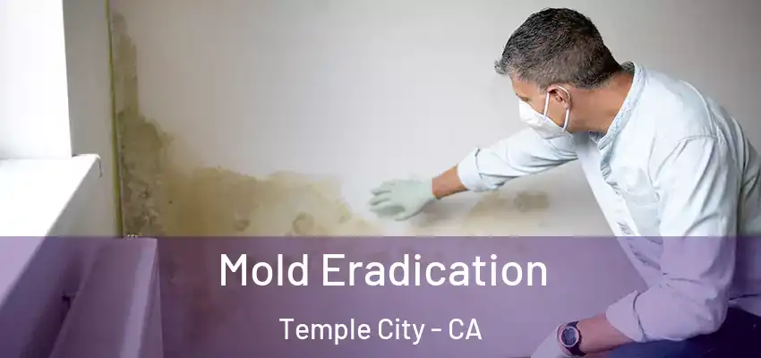 Mold Eradication Temple City - CA