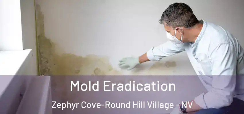  Mold Eradication Zephyr Cove-Round Hill Village - NV