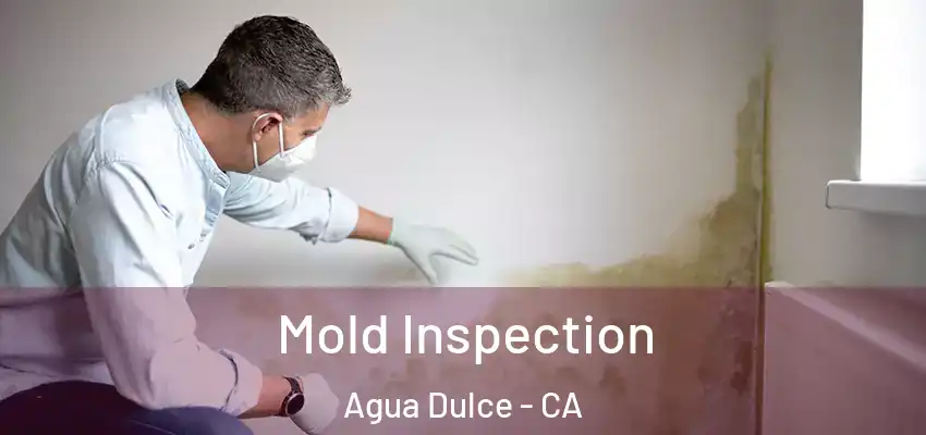  Mold Inspection Agua Dulce - CA