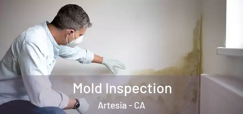 Mold Inspection Artesia - CA
