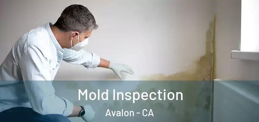  Mold Inspection Avalon - CA
