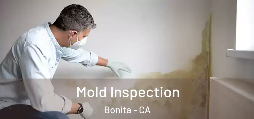  Mold Inspection Bonita - CA