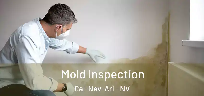  Mold Inspection Cal-Nev-Ari - NV