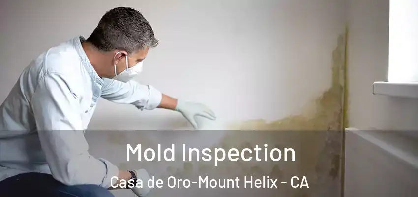  Mold Inspection Casa de Oro-Mount Helix - CA