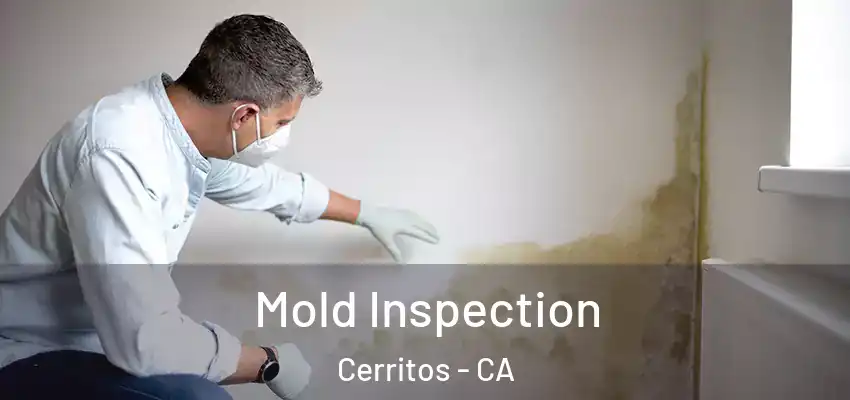  Mold Inspection Cerritos - CA