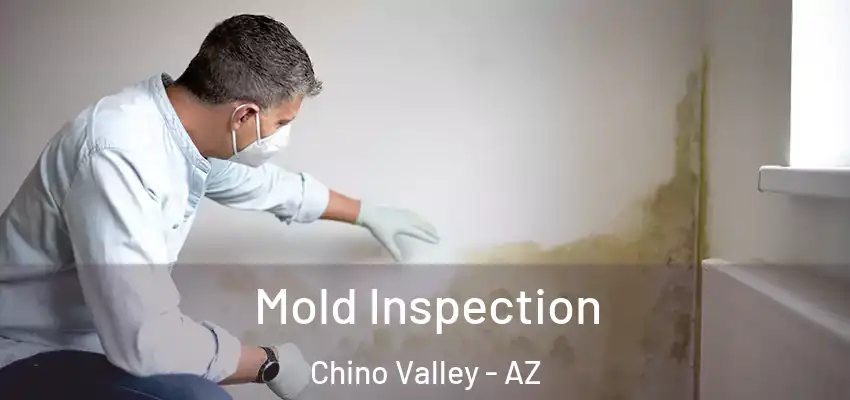  Mold Inspection Chino Valley - AZ