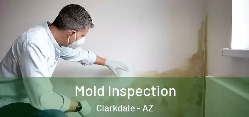 Mold Inspection Clarkdale - AZ