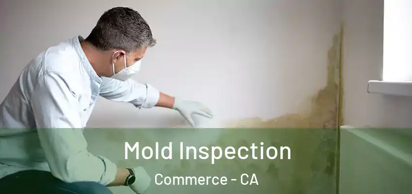  Mold Inspection Commerce - CA