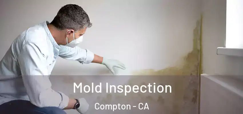  Mold Inspection Compton - CA