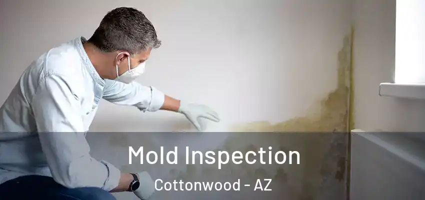  Mold Inspection Cottonwood - AZ