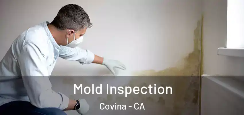 Mold Inspection Covina - CA