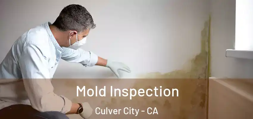 Mold Inspection Culver City - CA