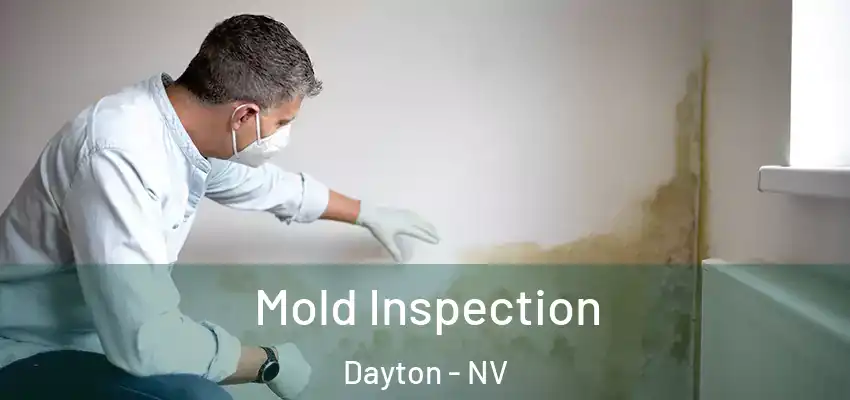  Mold Inspection Dayton - NV