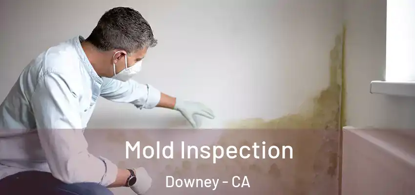  Mold Inspection Downey - CA