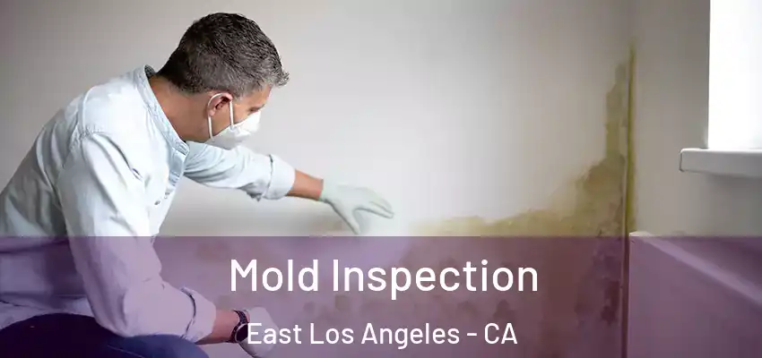  Mold Inspection East Los Angeles - CA