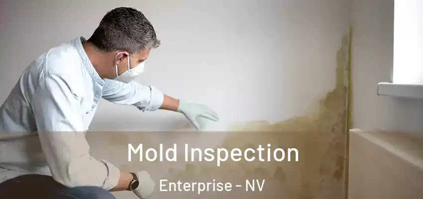  Mold Inspection Enterprise - NV
